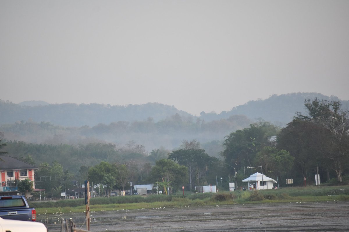 Cerberane's tweet image. More Lovely views from one of my morning #walks around อ่างเก็บน้ำหนองบัว in late February 
วิวสวยๆ จากการเดินเที่ยวรอบๆ อ่างเก็บน้ำหนองบัวช่วงปลายเดือนกุมภาพันธ์
#sunrise 
#lake
#mountains
#birds
#temple 
#nature
#naturelovers
#naturephotography