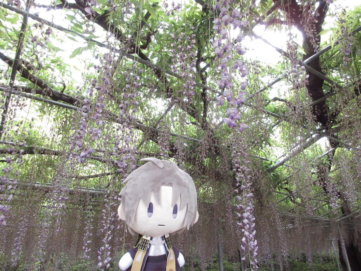 knuukn0's tweet photo. https://t.co/Tbrbl3x5HY