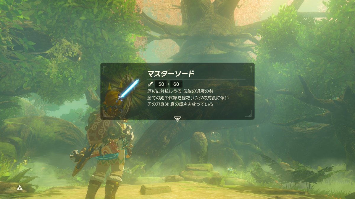 ちゃむゼルダ tweet media