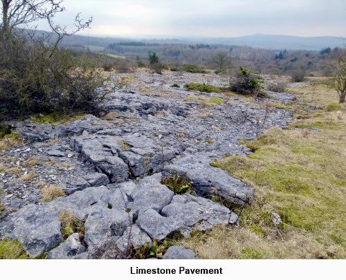IamHappyHiker's tweet image. “Hidden away” in the far south-west of #Cumbria are Hutton Roof Crags and Dalton Crags, forming a limestone plateau. From its top there are spectacular views in clear weather (I was unlucky!). There is also a section along the Lancaster canal. See happyhiker.co.uk/MyWalks/Cumbri…
