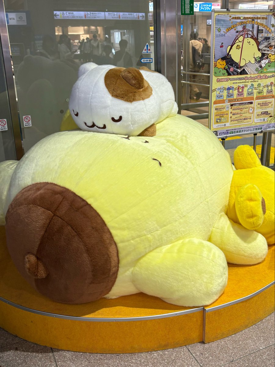御無 tweet media