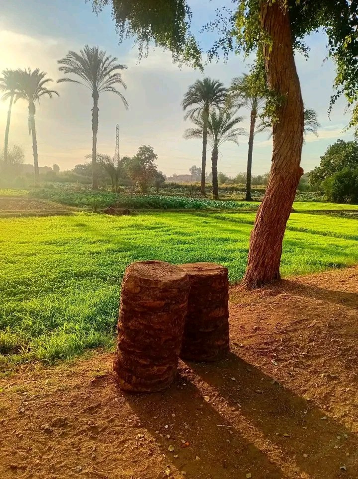 شيماءツ❥ tweet media