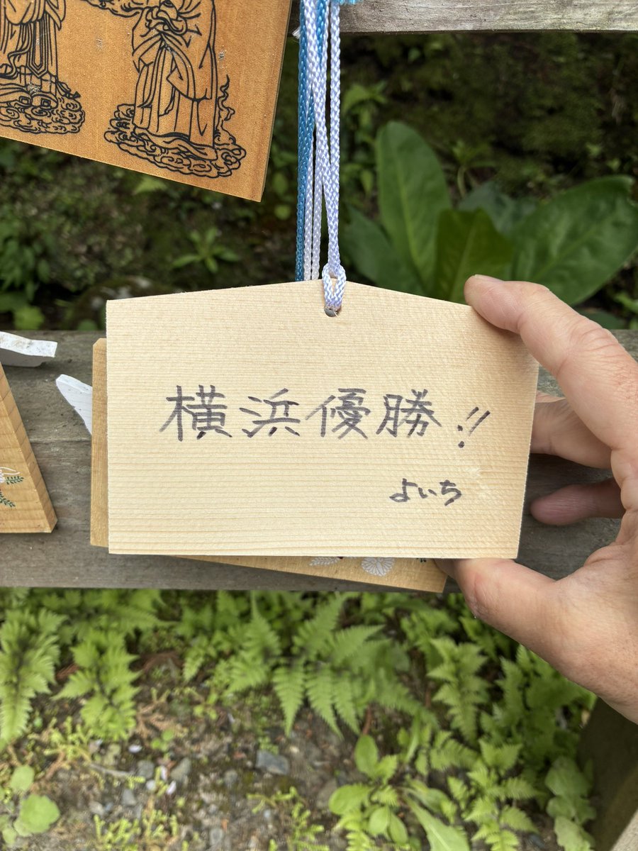 さといち よいち tweet media
