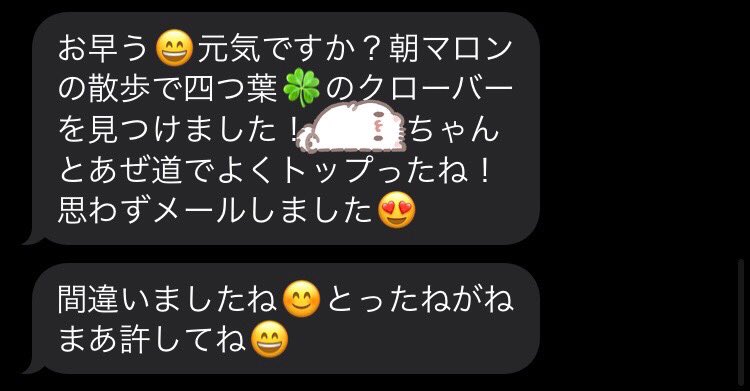 めぇ tweet media