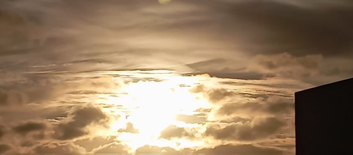 Carlo José tweet media