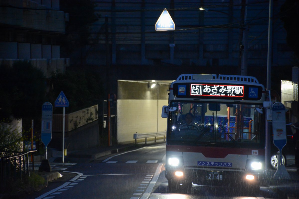 鷺31 tweet media