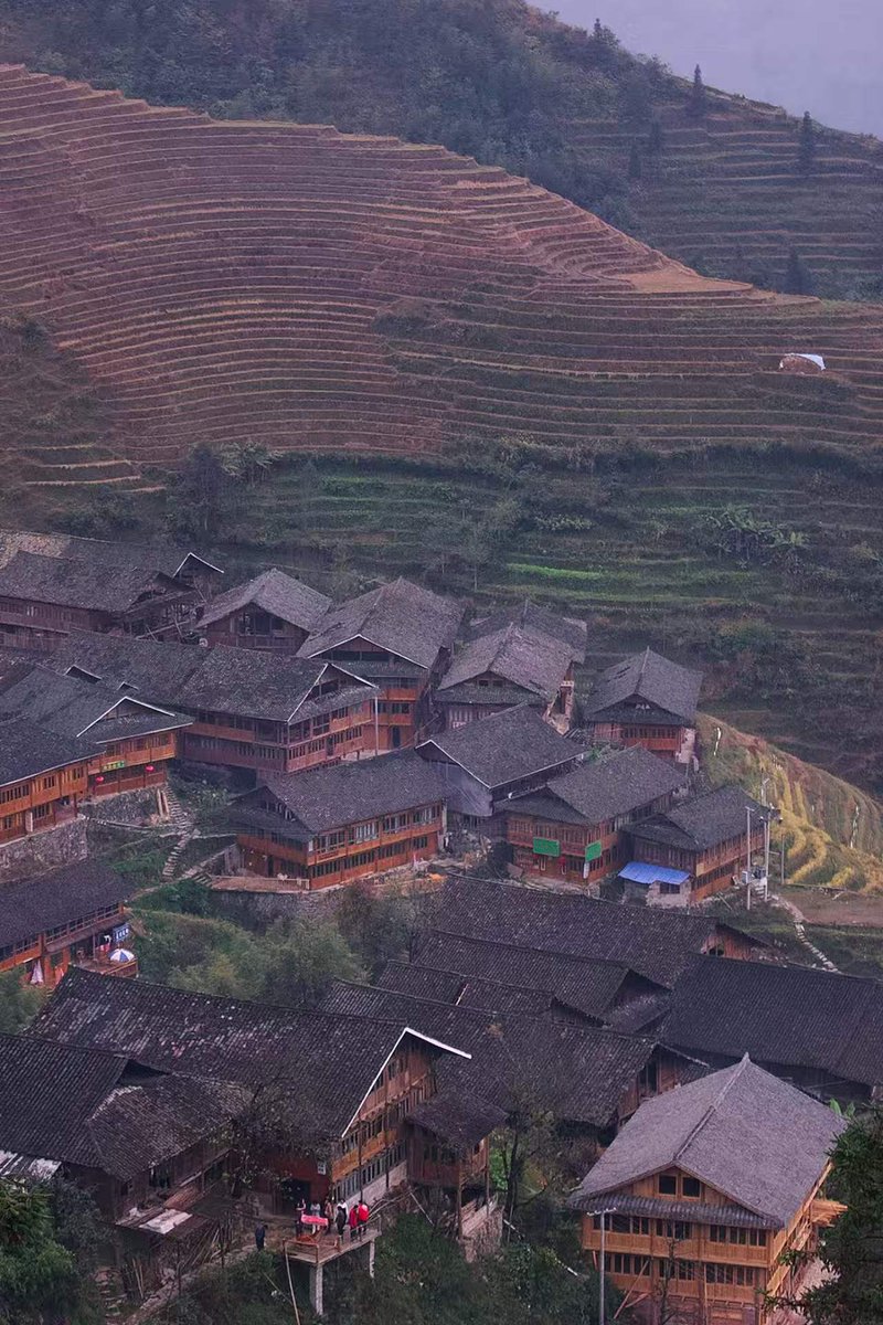 ChinaDaily's tweet image. #ChinaCanvas The Longji Terraces in Guangxi Zhuang autonomous region are recognized as an important agricultural heritage site. With a history spanning over 2,300 years, these terraces range in altitude from 380 to 1,180 meters, offering breathtaking #landscapes and showcasing
