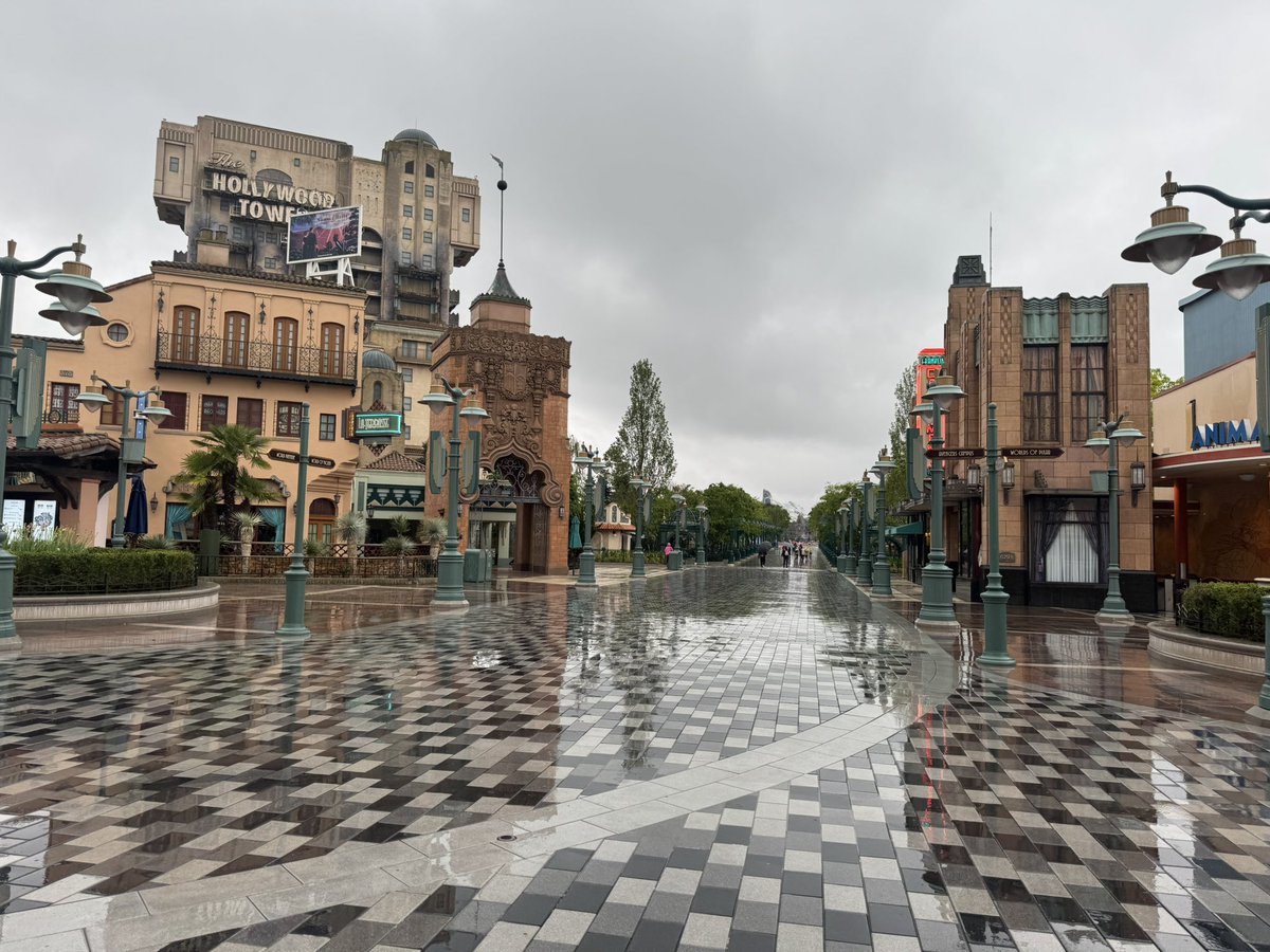 DLP Town Square tweet media