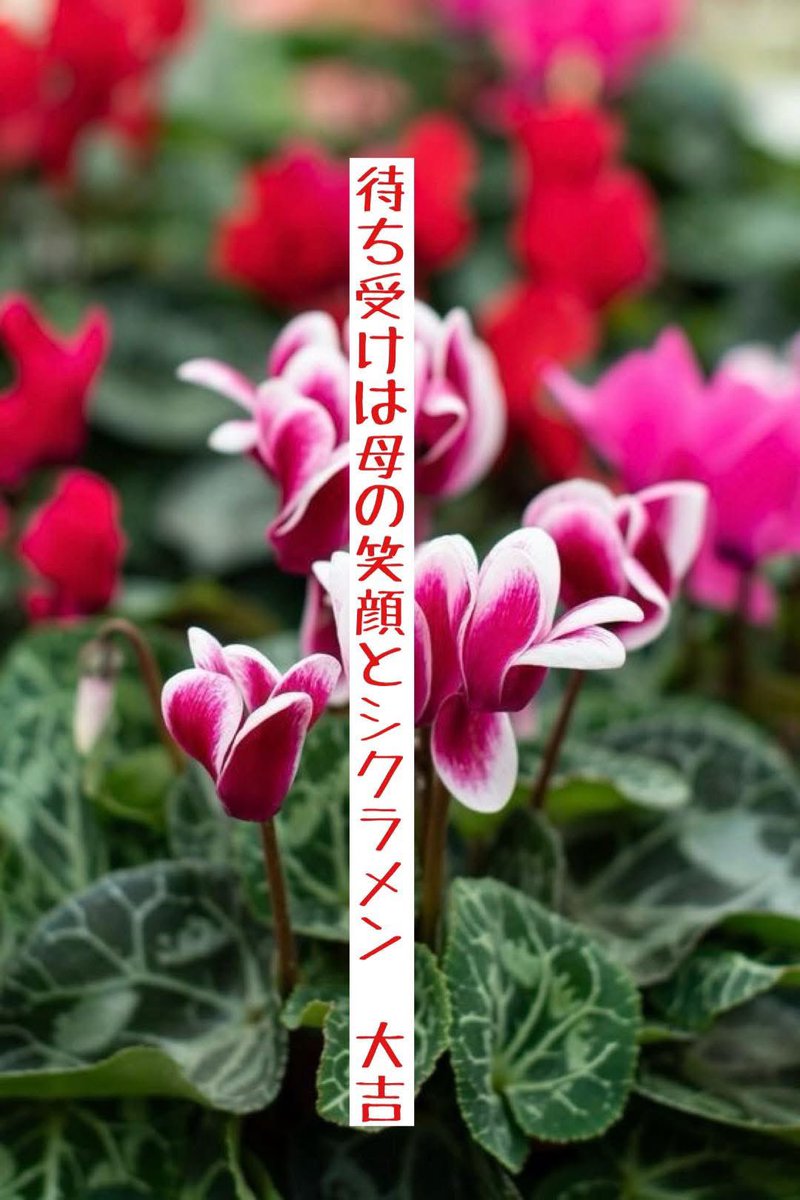 『雑詠』

#大吉の俳句