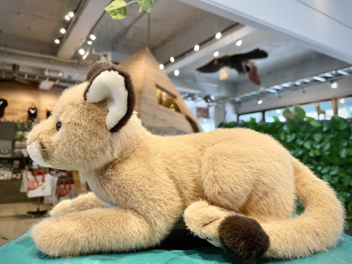 盛岡市動物公園 ZOOMO tweet media