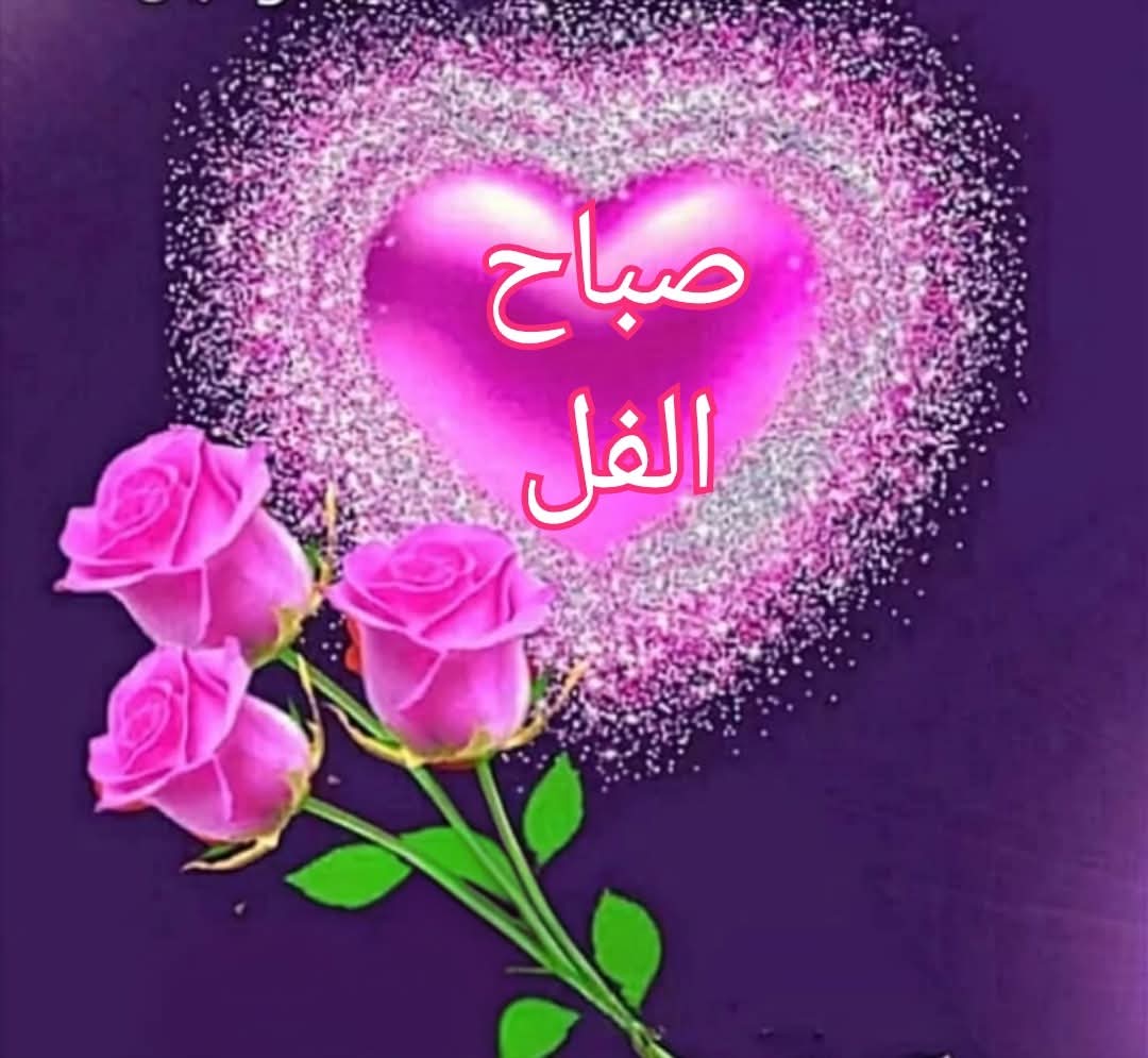 سهام tweet media