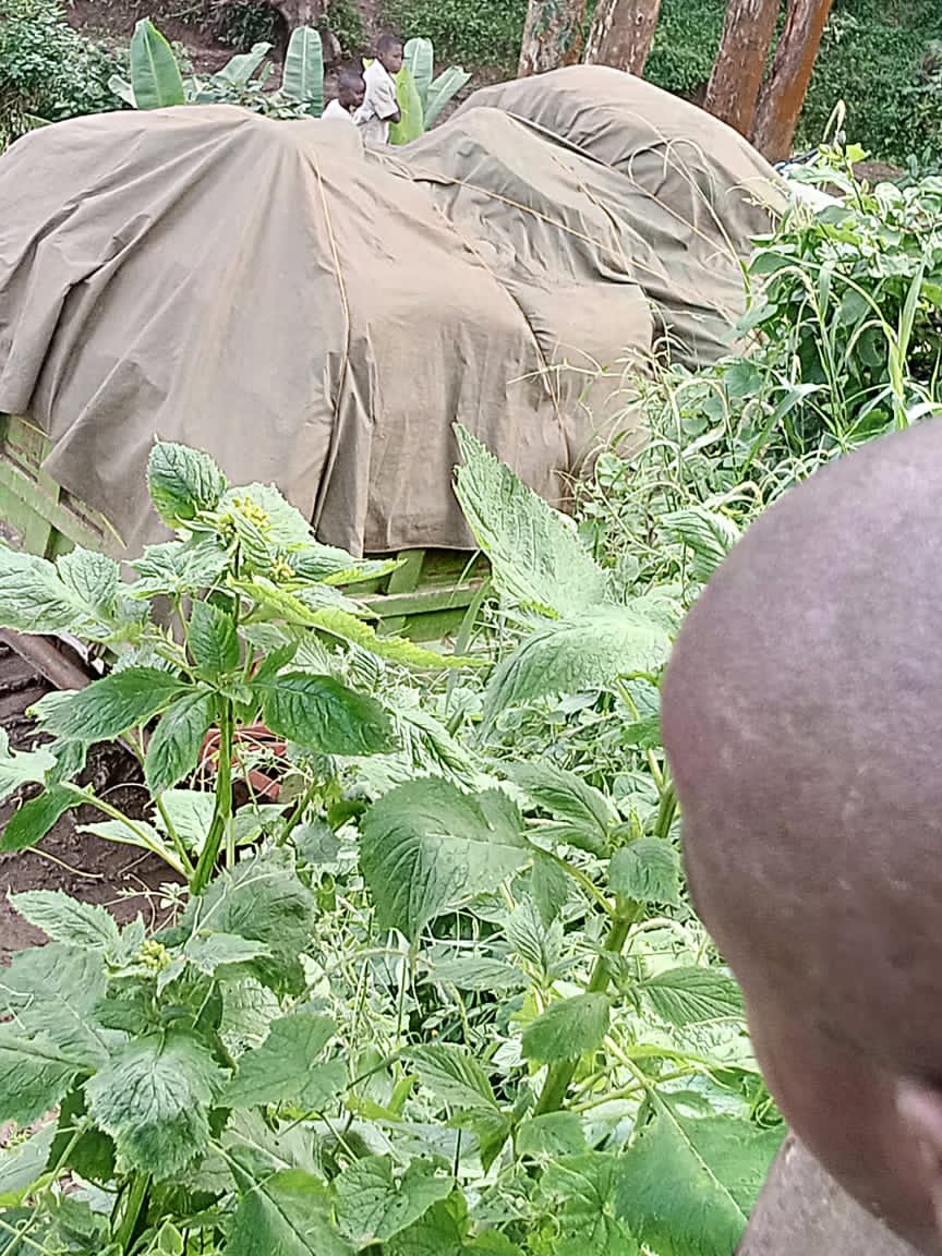 Jordan Mulikuza tweet media