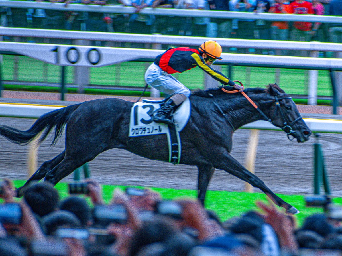 𝐊𝐎𝐍𝐓𝐄𝐍𝐀🐎𝐂𝐫◉𝐢𝐱_𝐝𝐮_𝐍◉𝐫𝐝 tweet media