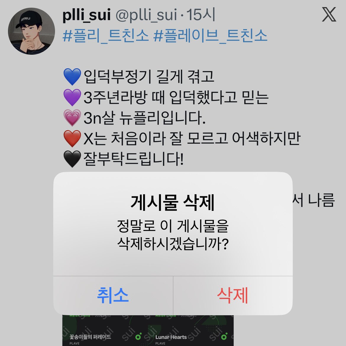 plli_sui tweet media
