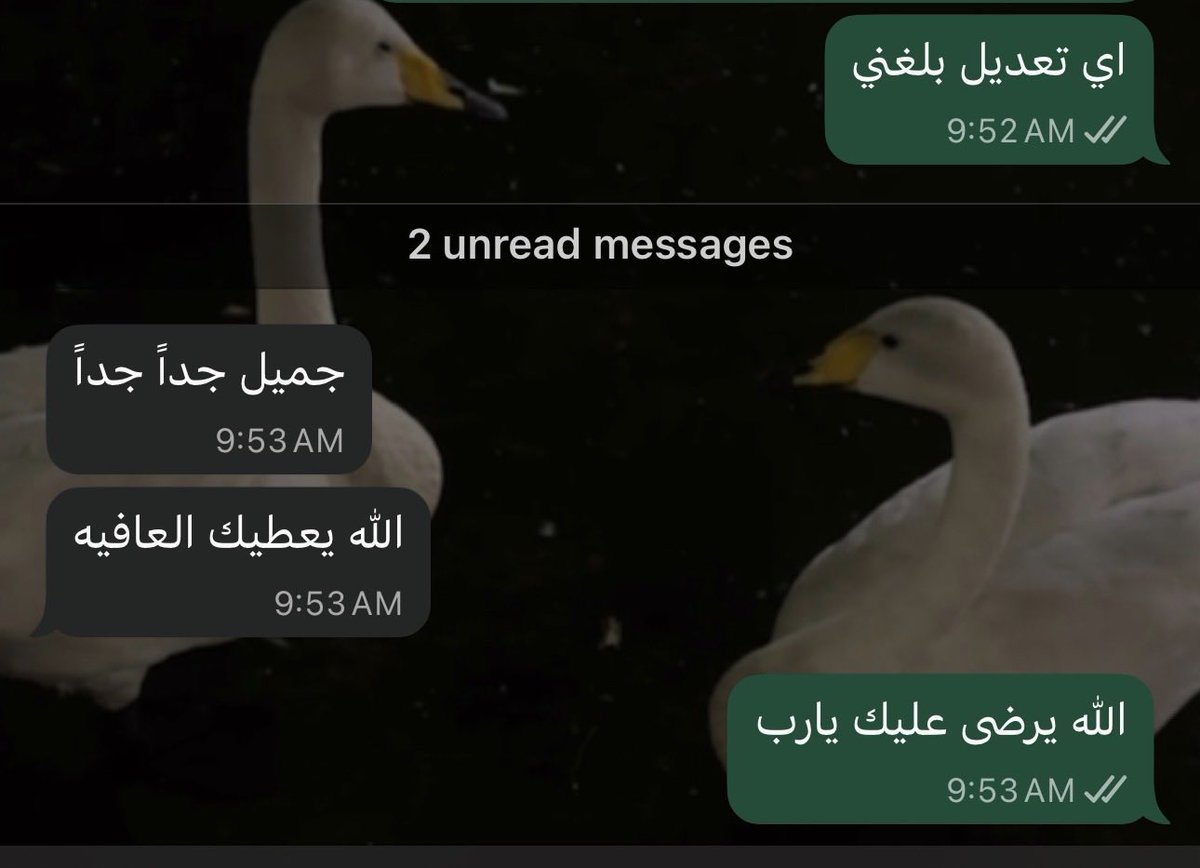 حنان المطيري||مصممة جرافيك || مسوقة tweet media