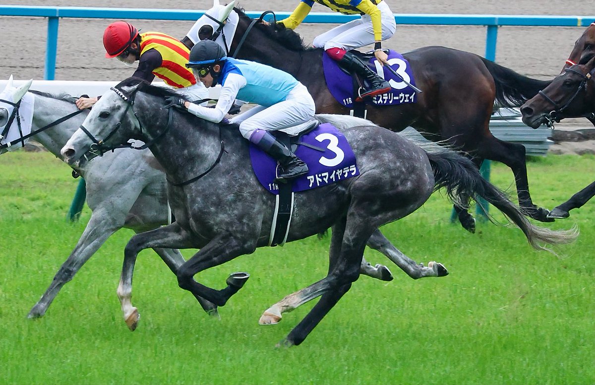 なぎた🐴 tweet media