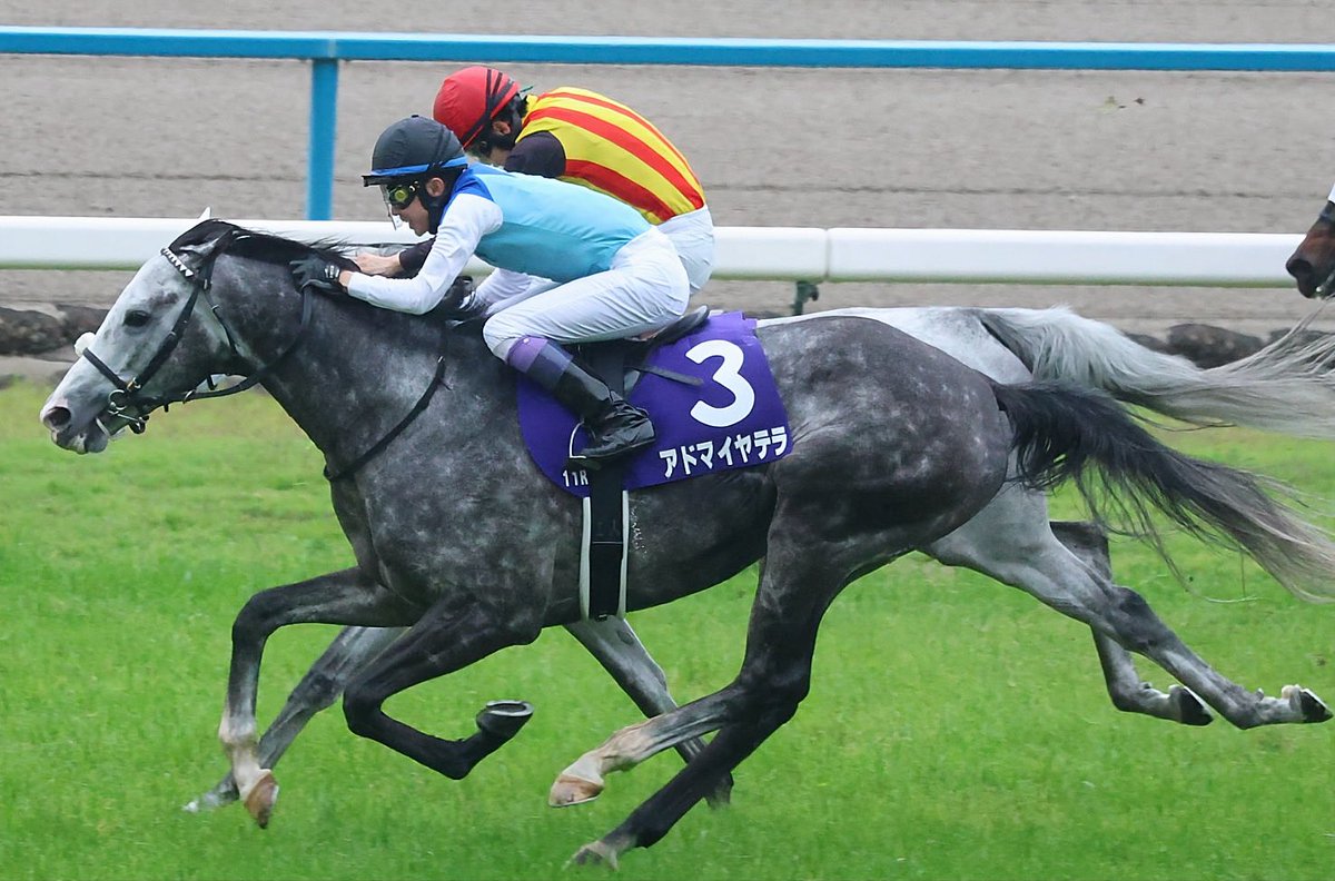 なぎた🐴 tweet media