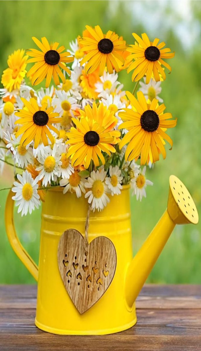 💘Hayat 💘 tweet media