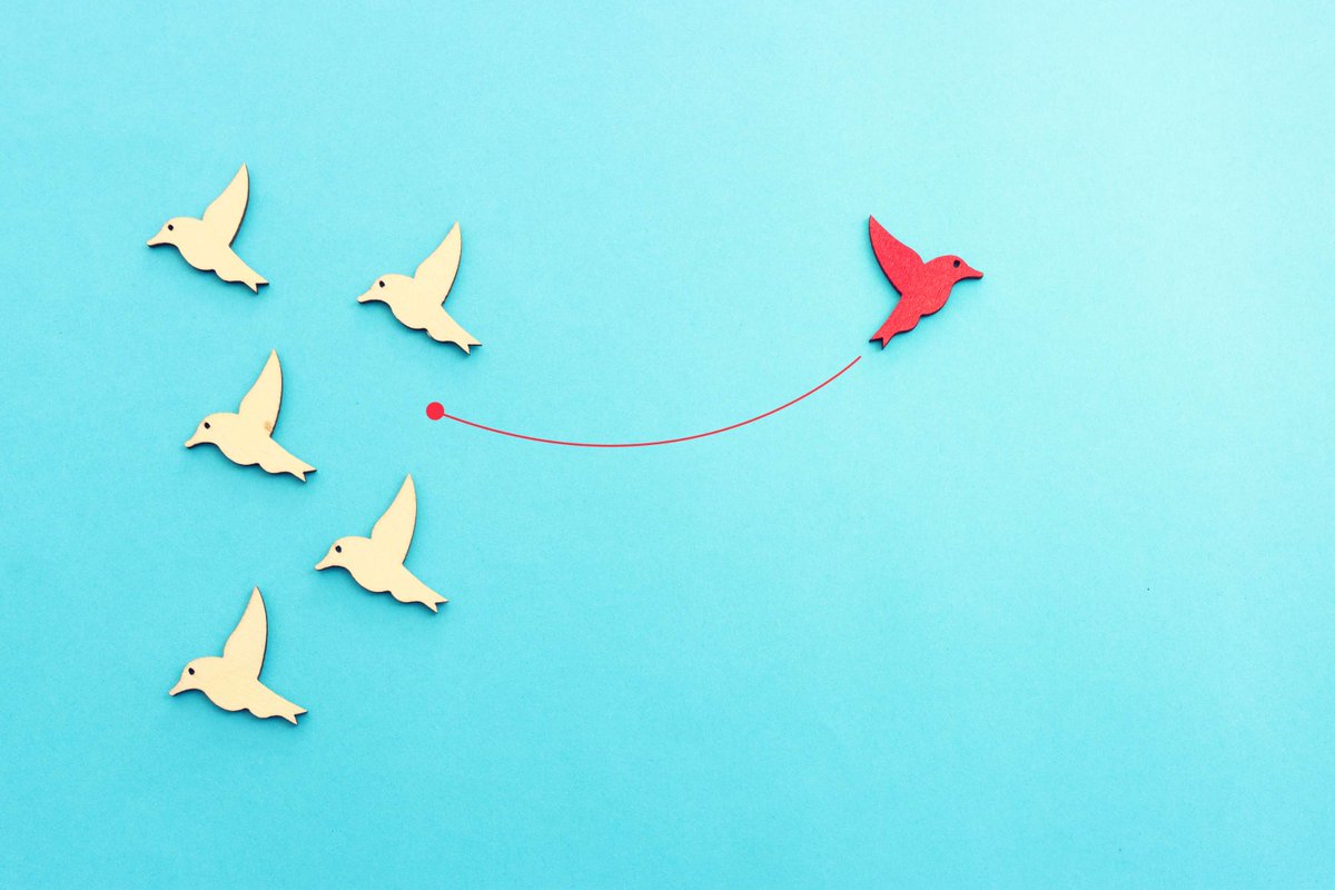 JCPinWestMids's tweet image. If you are struggling to find the right job is it time to start thinking differently?

#NationalCareers suggests places to look that could lead to more opportunities. 

Find them here: ow.ly/BYQm50YOW1k

#JobSearch