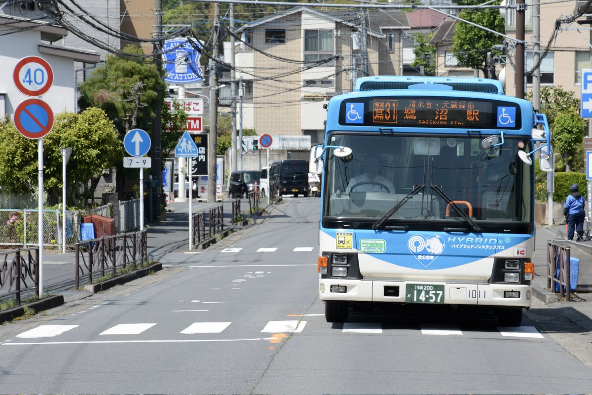 鷺31 tweet media
