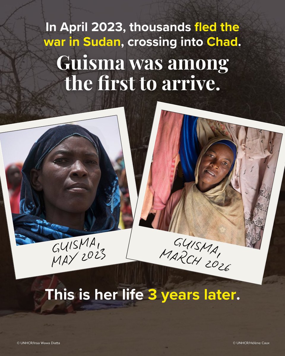 UNHCR, the UN Refugee Agency tweet media