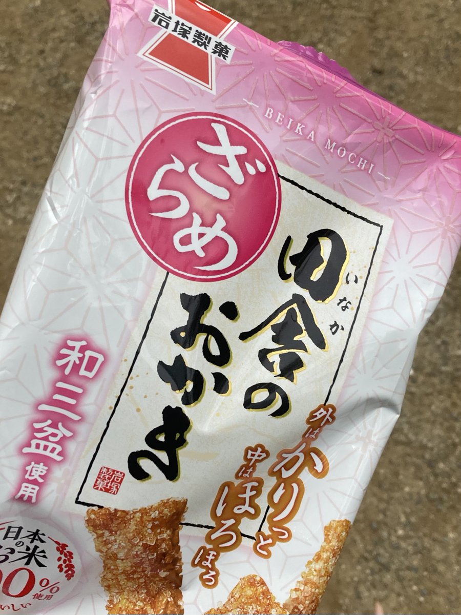 旅行 tweet media