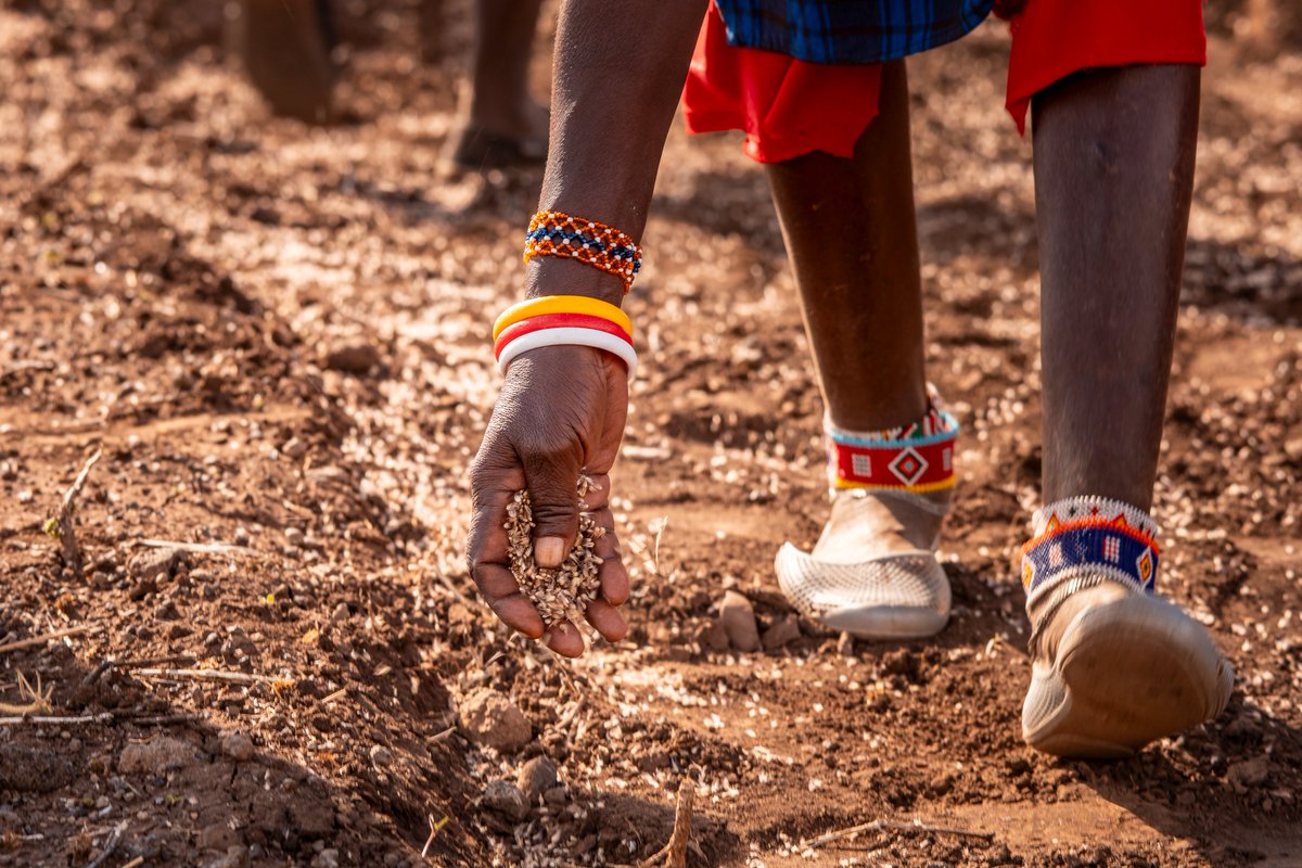 WWF-Kenya tweet media