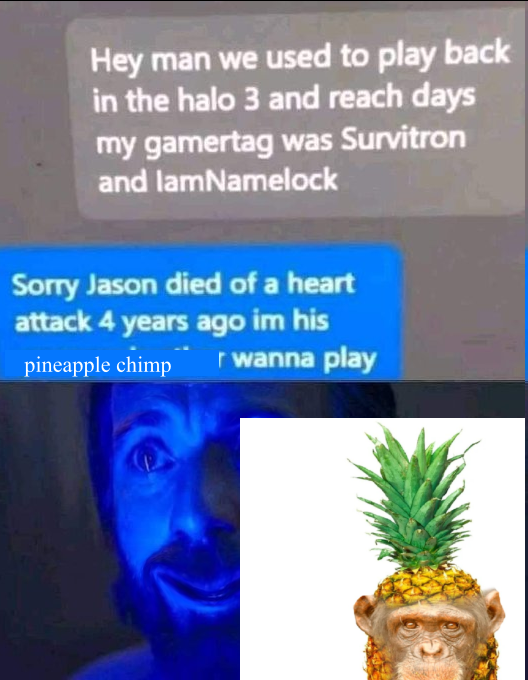 pineapple chimp tweet media