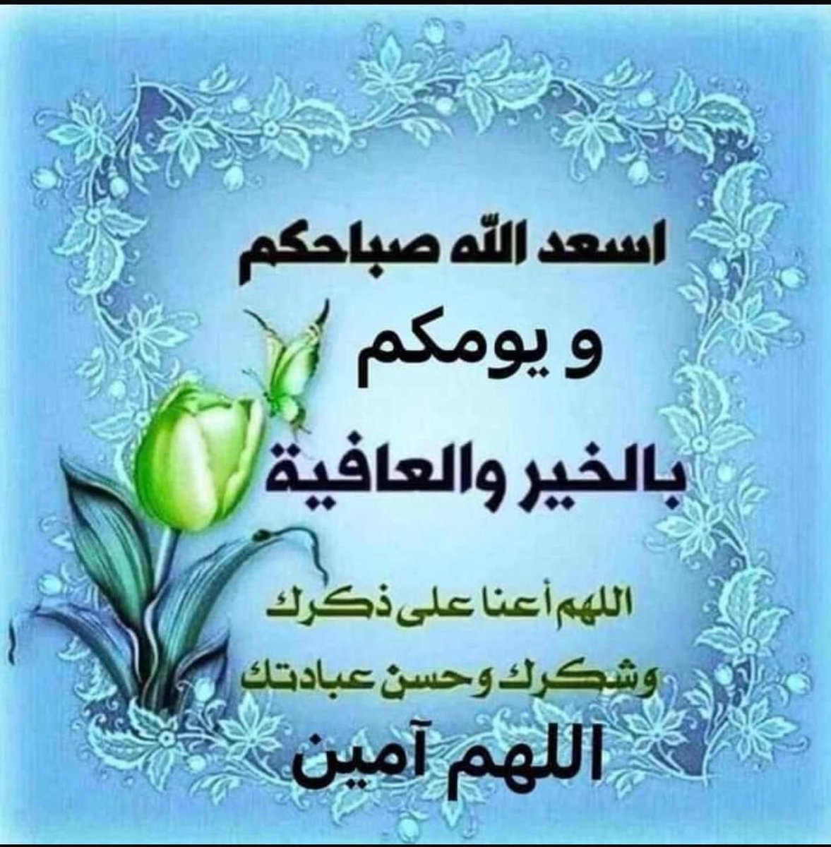 أبن الفيحاء(مدينتي) tweet media