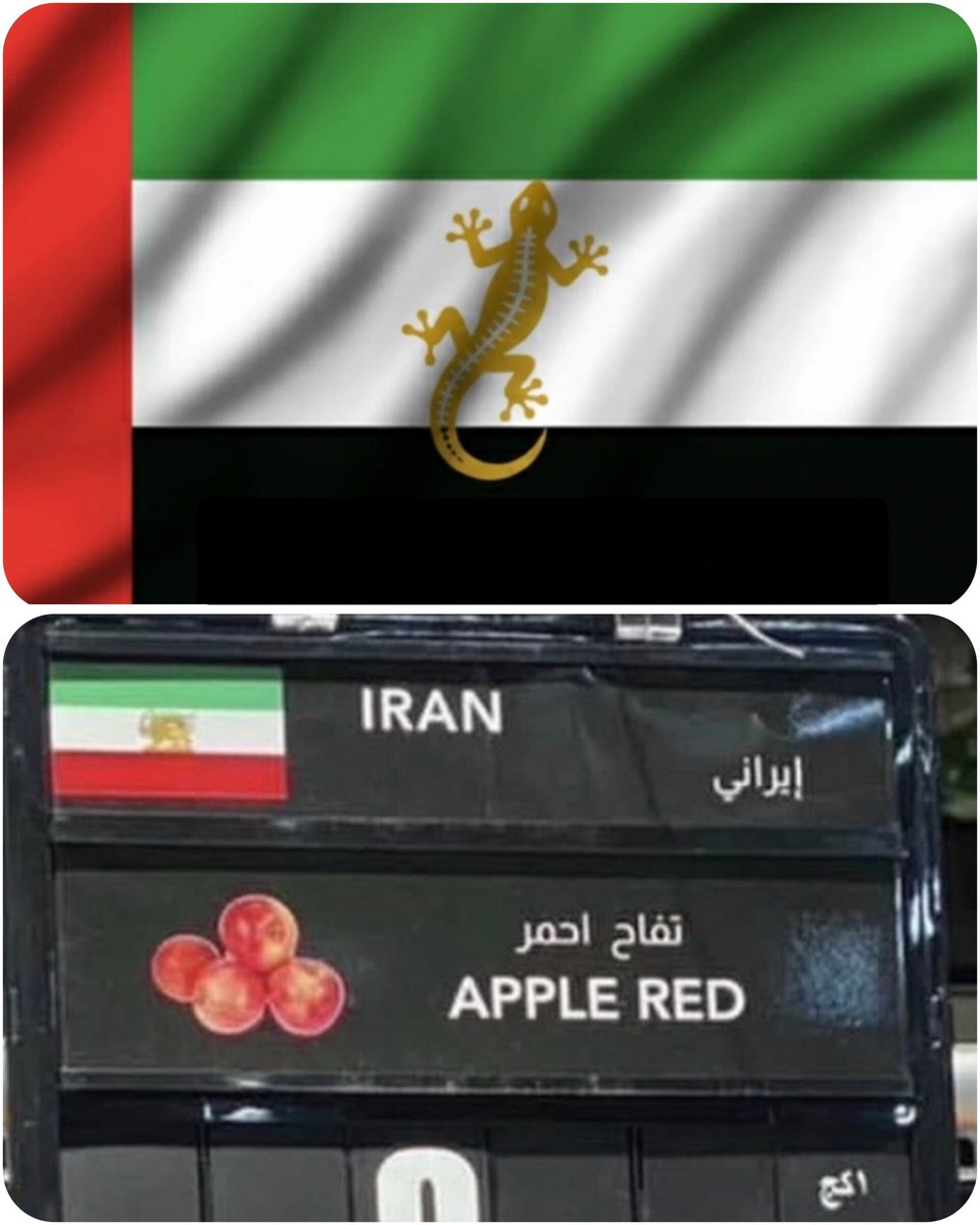 بـشــــری tweet media