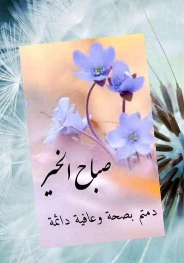 ﴿ شَاهِد خير﴾ .🕊️ tweet media