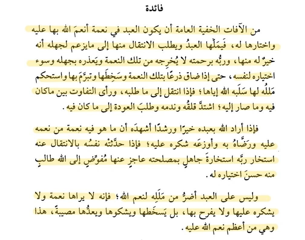 رامة جندلي tweet media