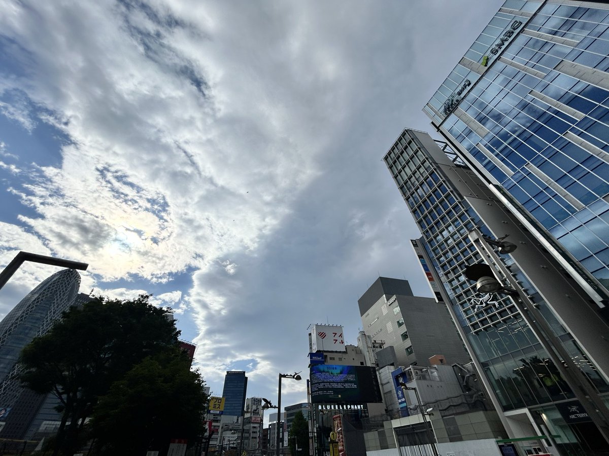 tomatomato1999's tweet photo. GW今空、新宿

#写真好きな人と繋がりたい
#新宿 #今空 #ふぉと #GW https://t.co/JH1NZWSMT3