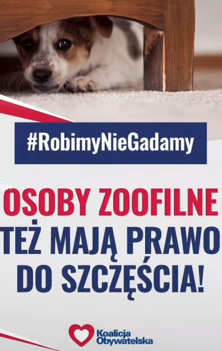 PawelZazcek's tweet image. Ręce precz od dzieciaków i zwierzat zwyrodniałe ZJEBY pedofile i zoofila z #KO