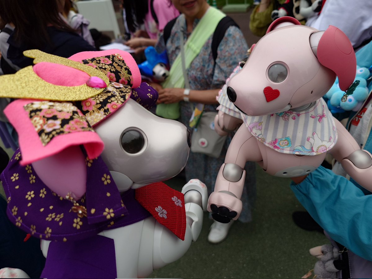 肥後の金太 tweet media
