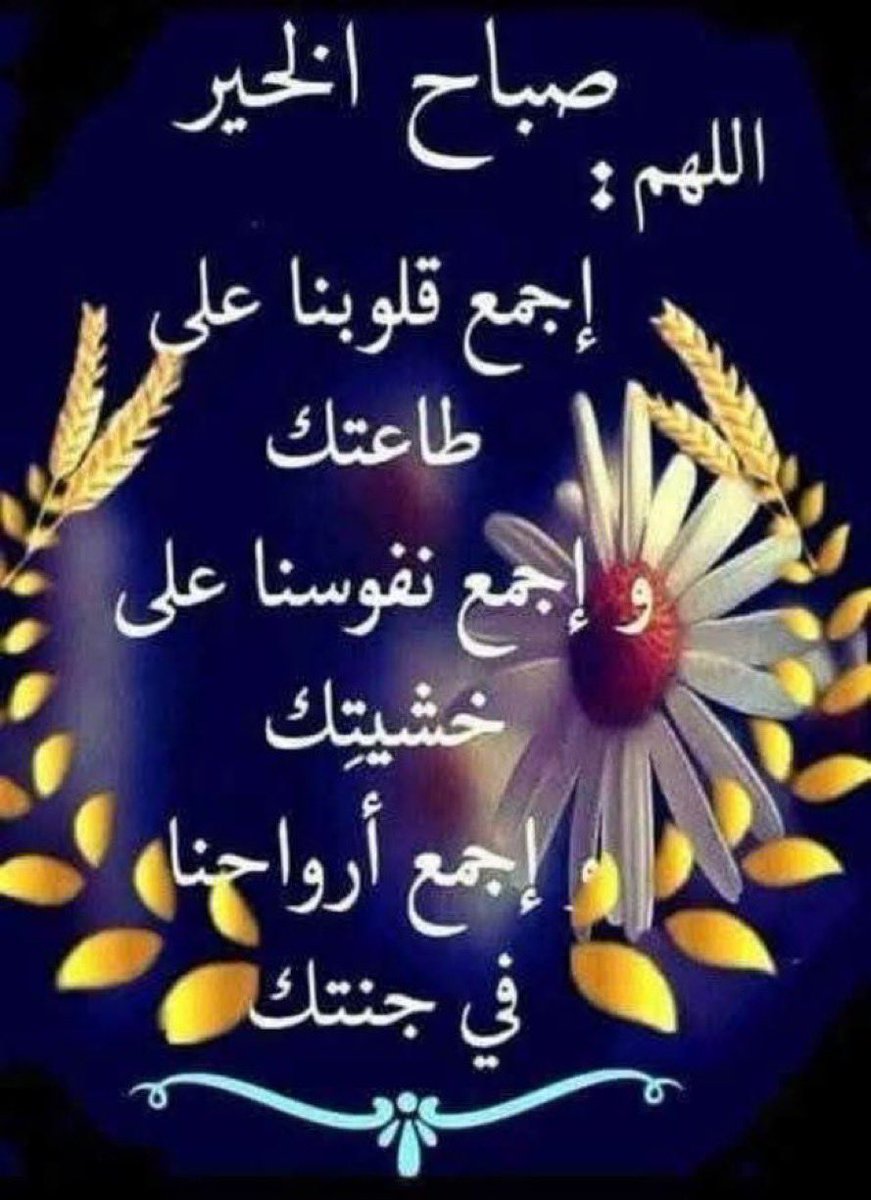 أبن الفيحاء(مدينتي) tweet media