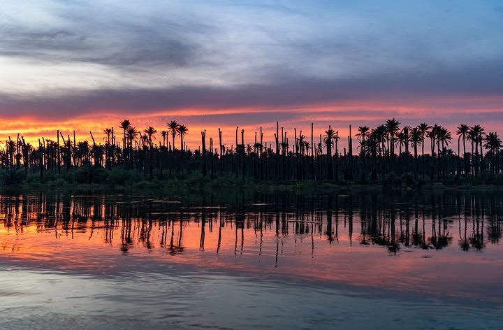 Mesopotamia Iraq tweet media
