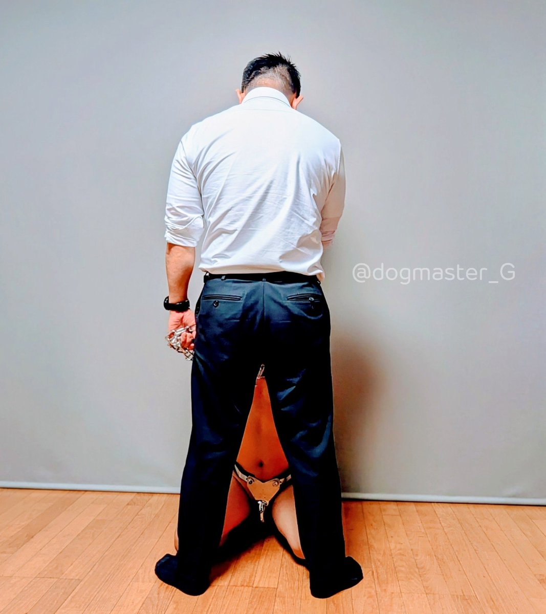 dogmaster【G】 tweet media