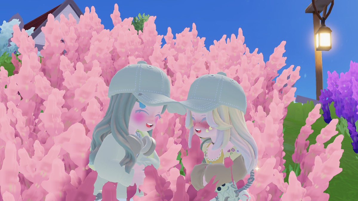 おゆちゃ🐈‍⬛ tweet media