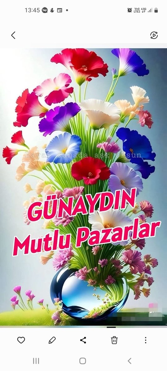 Macide Gür tweet media
