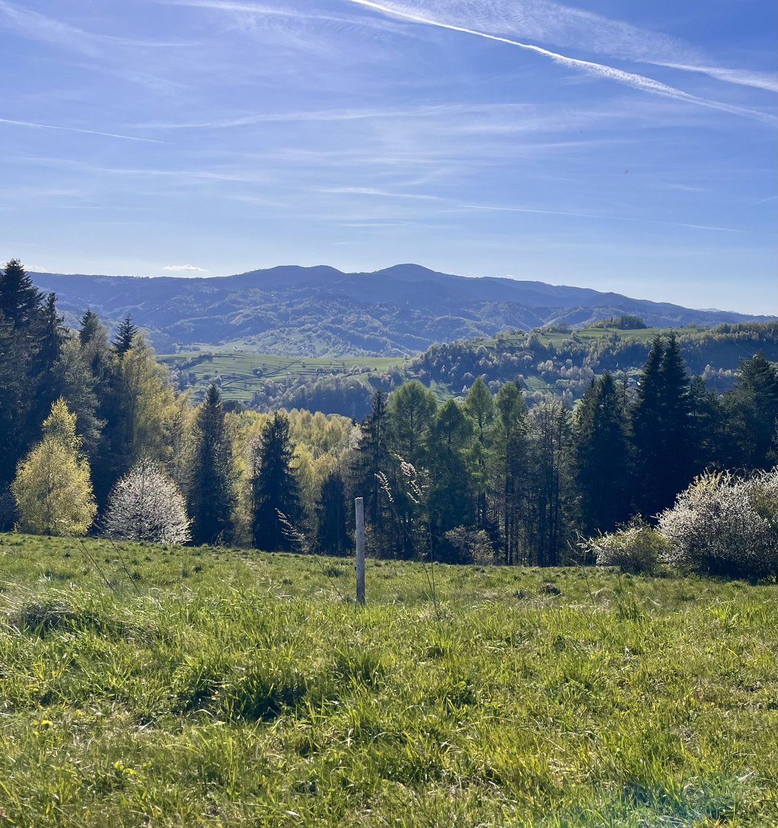 bazajdel's tweet image. Łomnica Zdrój o tej porze to miejsce jak z bajki. 
#beskidsądecki #hiking #włókidwie