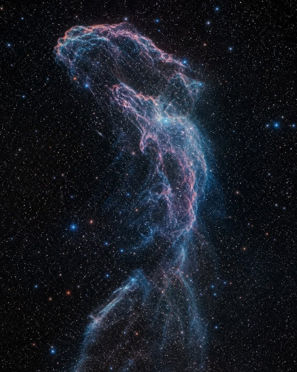 The Mermaid Nebula (ESO 217-25):
 A Ghostly Echo of Stellar Death Drifting silently through the darkness of space lies one of the cosmos’s most hauntingly beautiful creations — the Mermaid Nebula.Captured in stunning detail by astrophotographer Marshall Huang, this ethereal veil