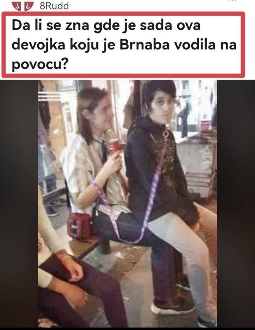 TodorNS tweet media