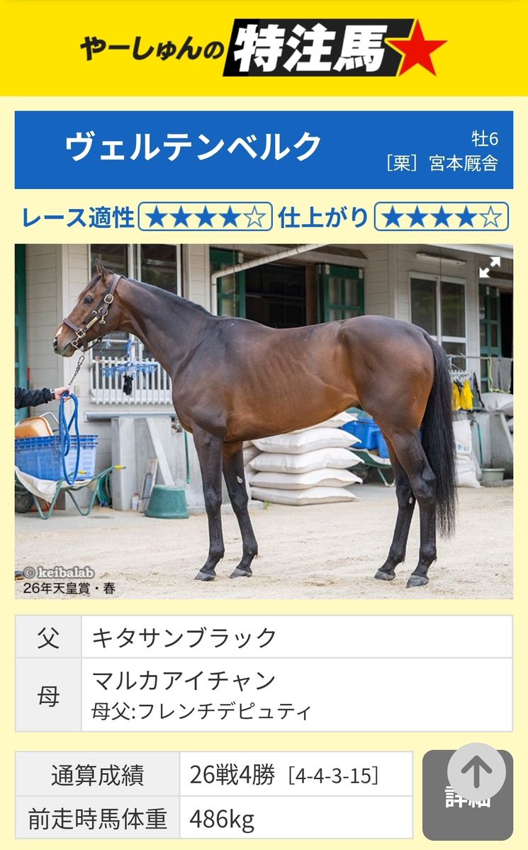 やーしゅん【馬体競馬YouTuber】 tweet media