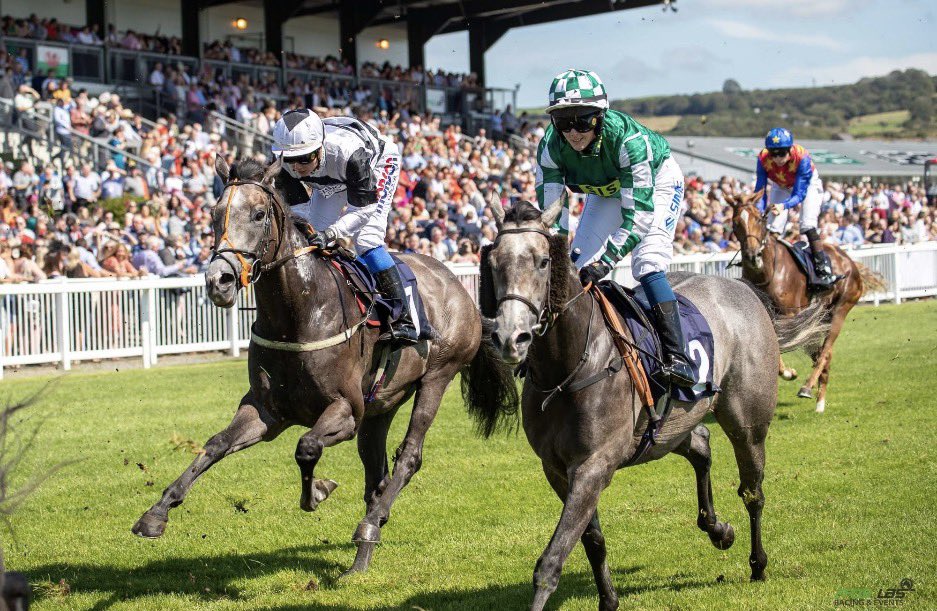 Ffos Las Racecourse tweet media