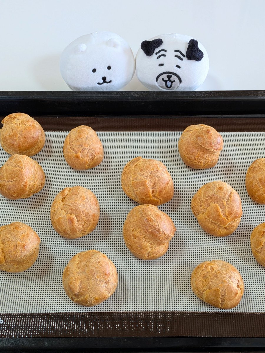 ポシェットのくま🧸 tweet media