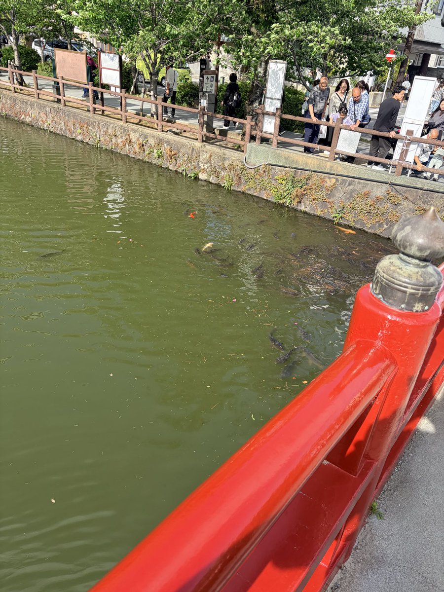 どすこいペンネ tweet media