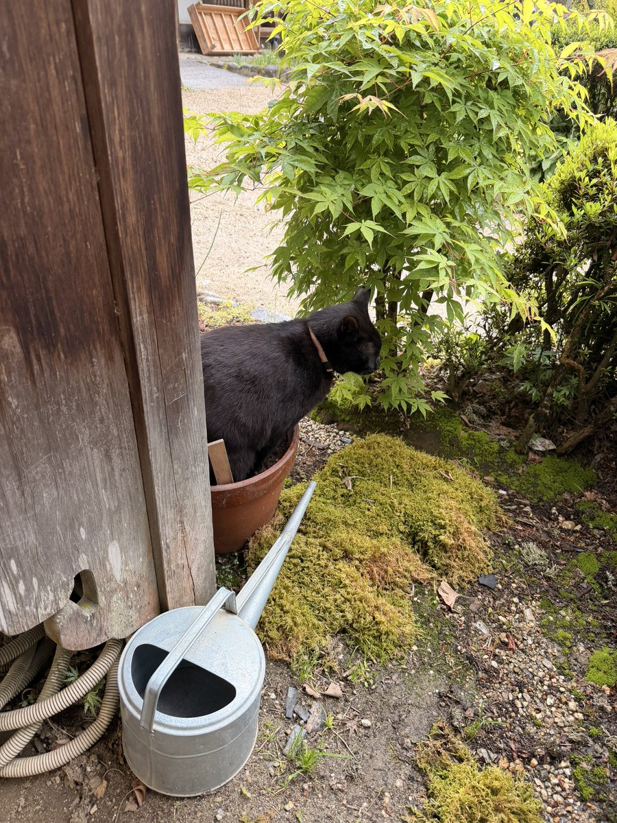 三州足助屋敷 tweet media