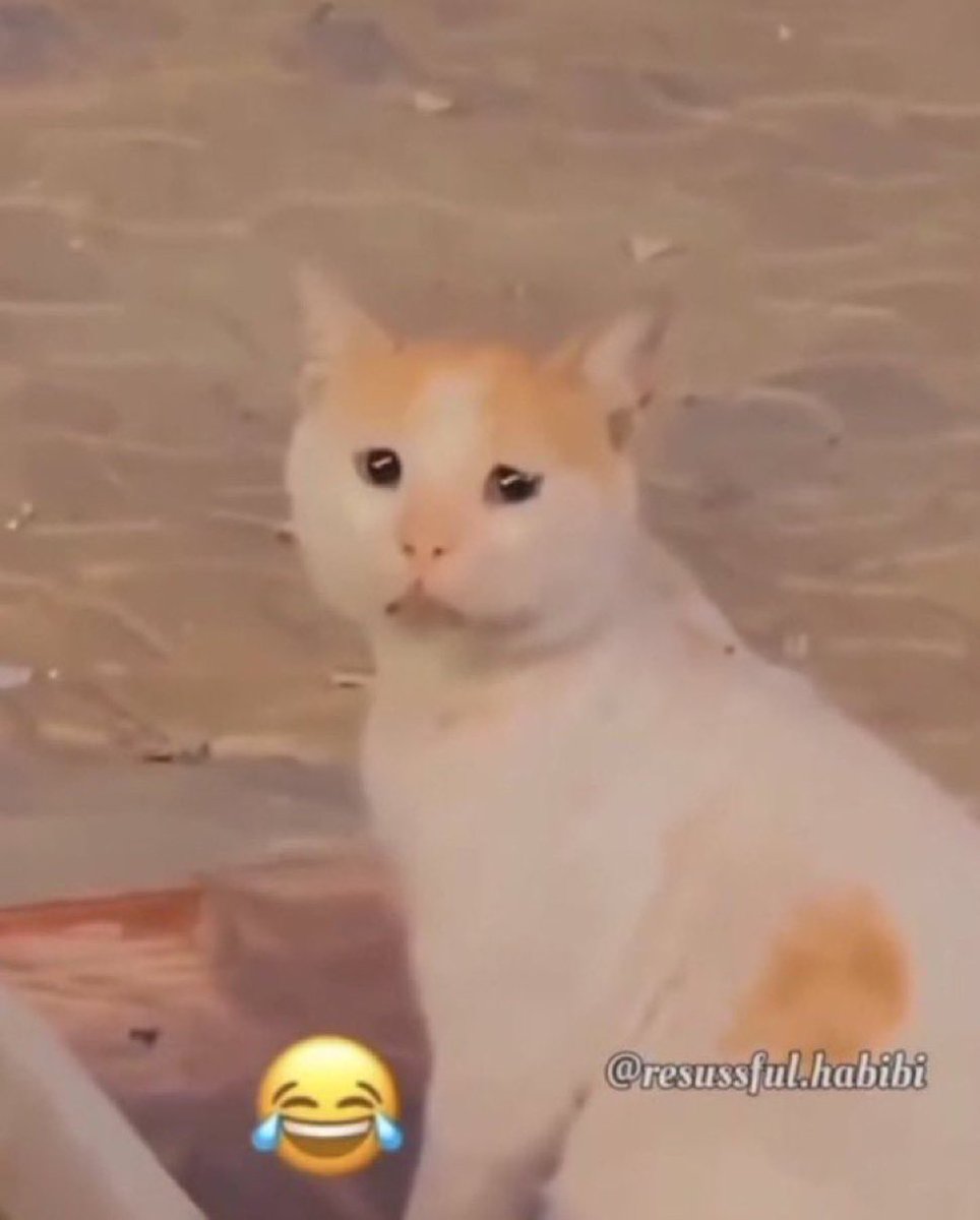 جلي tweet media