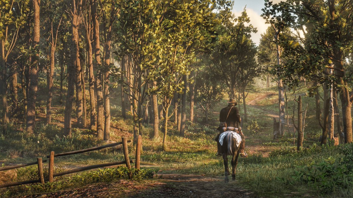 Red Dead Redemption 2